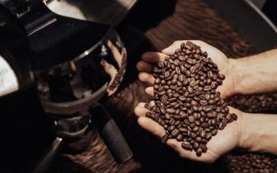 Exporting Green Coffee from Colombia: Experience, Logistics, and Trust