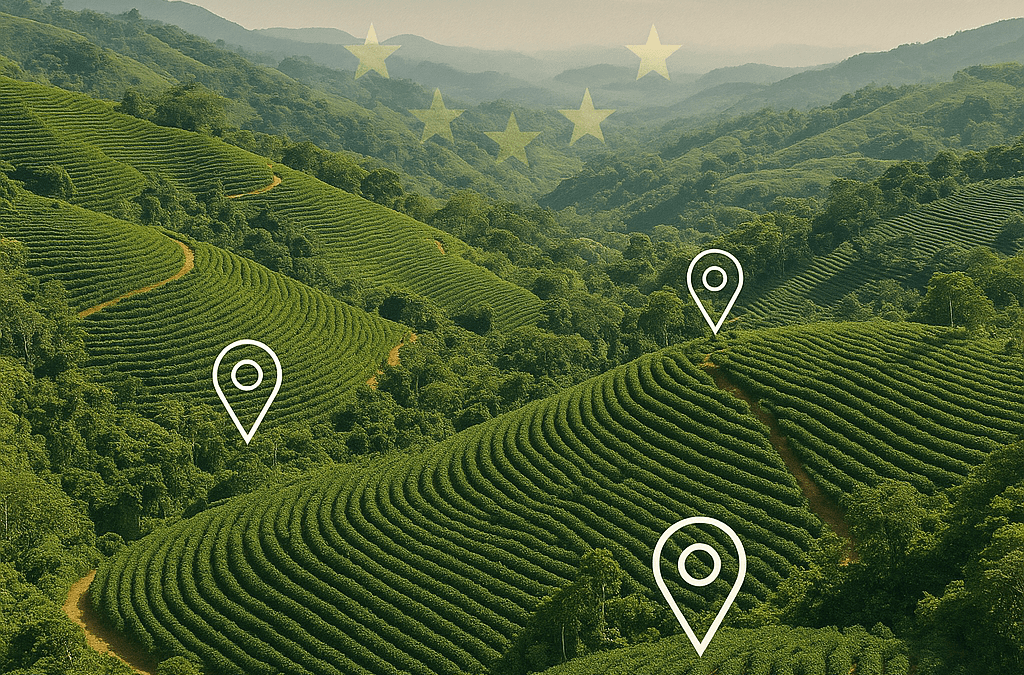 ¿Qué es el EUDR y cómo impactará a los exportadores de café en 2025?
