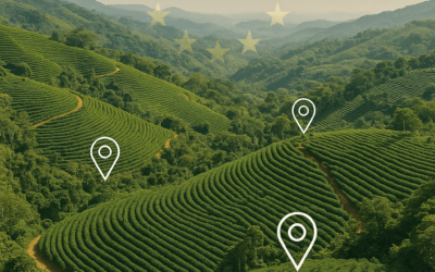 ¿Qué es el EUDR y cómo impactará a los exportadores de café en 2025?